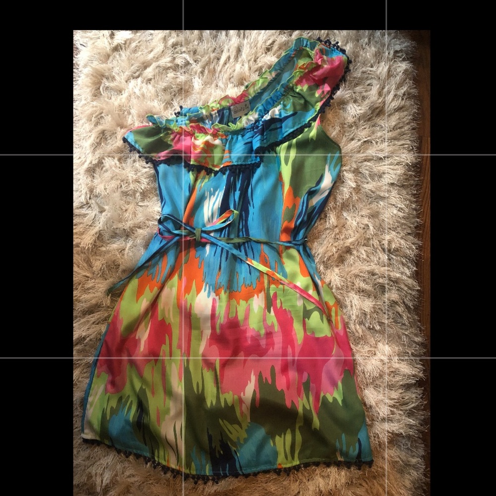 Mud pie dress